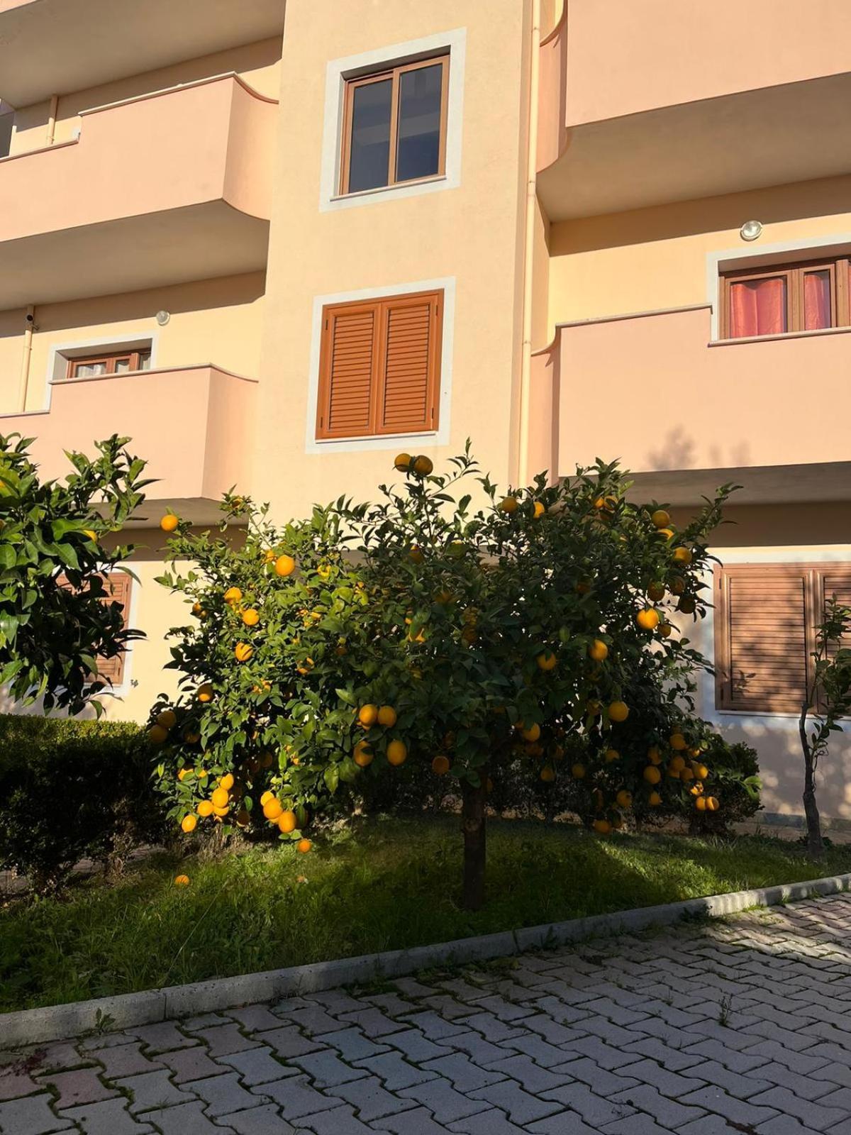Villa Dei Limoni Shkallnur Exterior photo