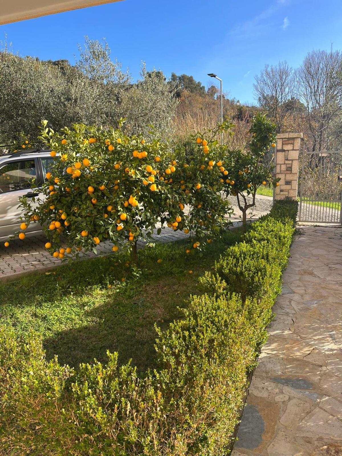 Villa Dei Limoni Shkallnur Exterior photo